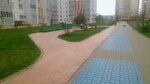Bicycle stand (Ulyanovsk, Ilyushina Boulevard), estacionamiento de bicicletas
