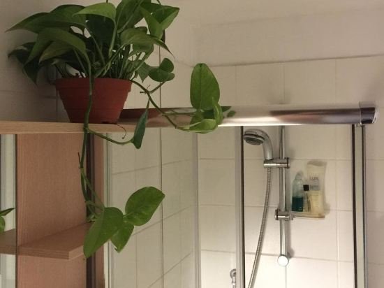 Фото NotaMi - Spazio Isola