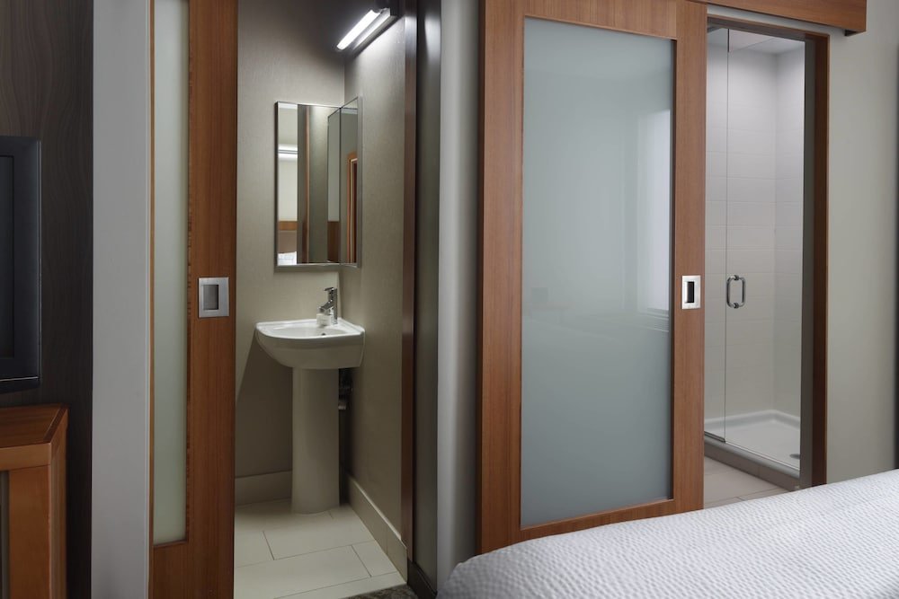 Фото SpringHill Suites by Marriott Atlanta Airport Gateway