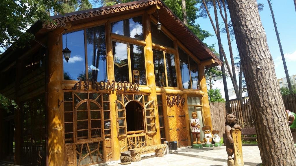 Фото Сосновый Бор