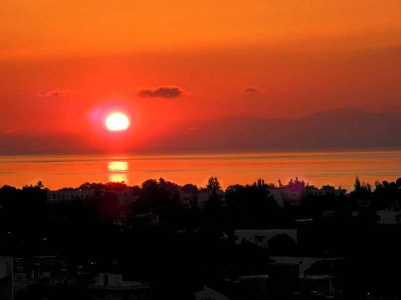 Фото Gardenia Hotel