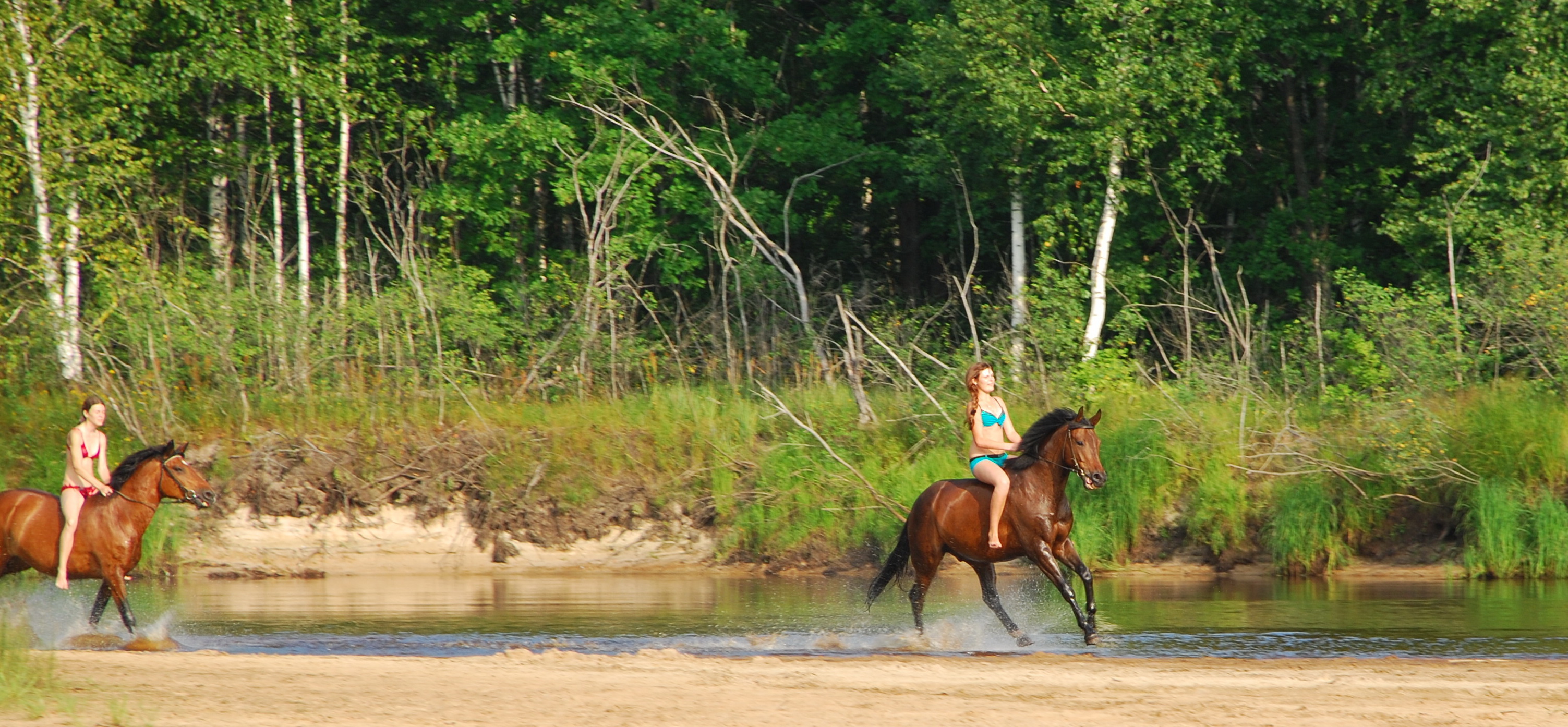 Фото НиКиТа