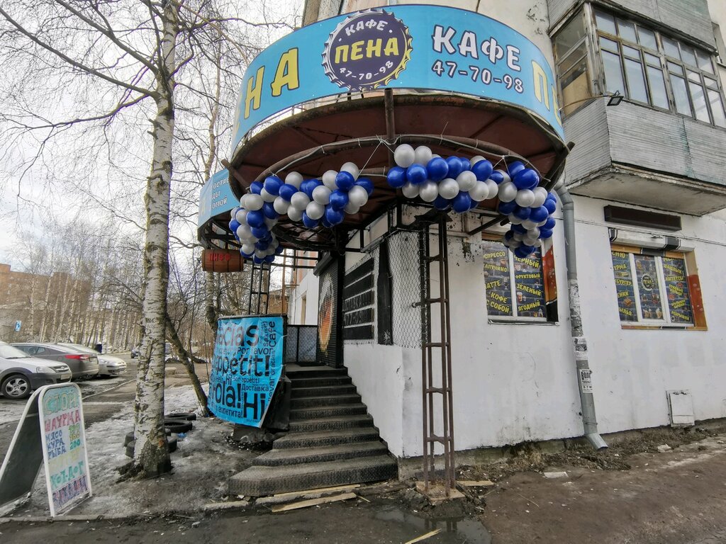 Бары архангельск