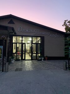 Olzha Tamyr (Golovaskıı kóshesi, 144), cafe
