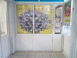 Flower shop (vulica 50 hod Kastryčnika, 4), floristeria