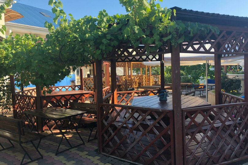 Фото Дельфин