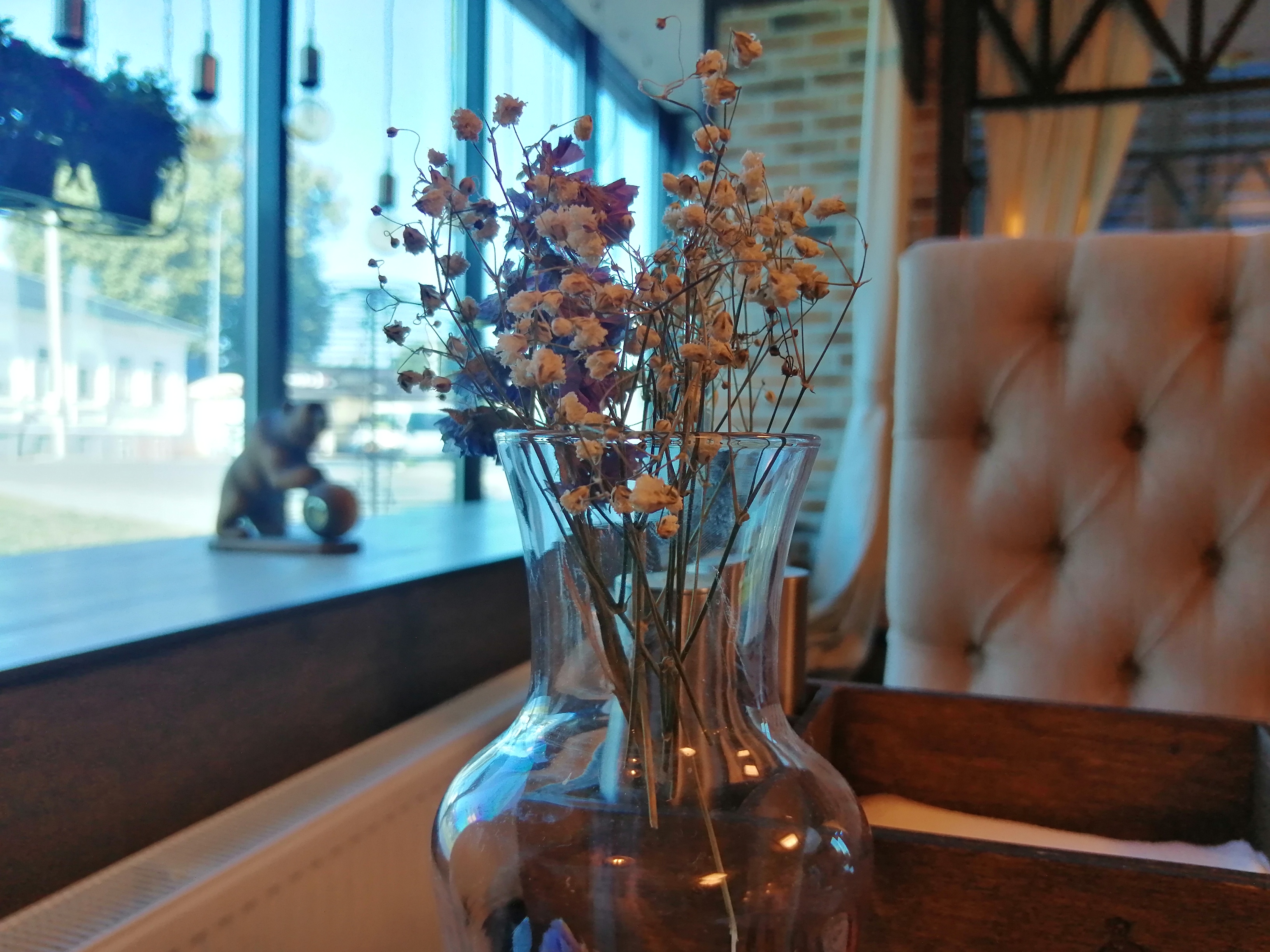 Фото ШишкинЪ