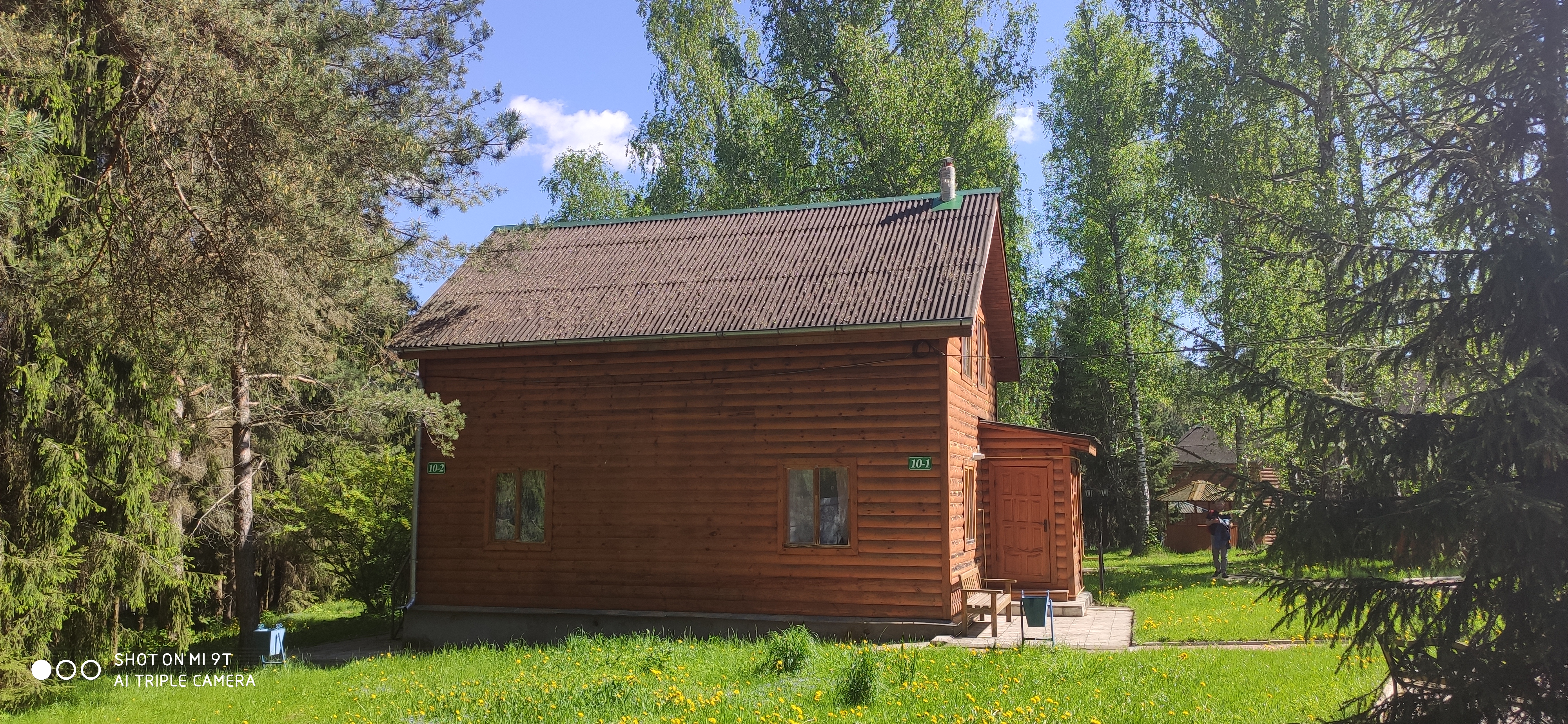 Фото Берёзовая роща