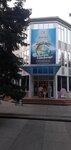 Орбита, ресторан Жемчужный (Приморская ул., 18А, село Ольгинка), ресторан в Краснодарском крае