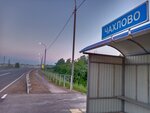 Чахлово (Novosibirsk Region, Bolotninskiy rayon, R-255 Sibir, 118-y kilometr), public transport stop