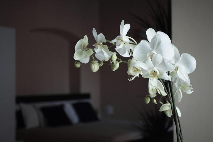 Фото 3 Epoques Apartments by Adrez