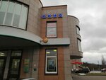 PSK Chetyre Sezona (ulitsa Gagarina, 1А), windows