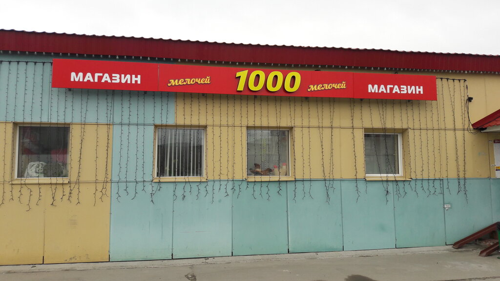 Household goods and chemicals shop 1000 Melochey, Gubkinskiy, photo