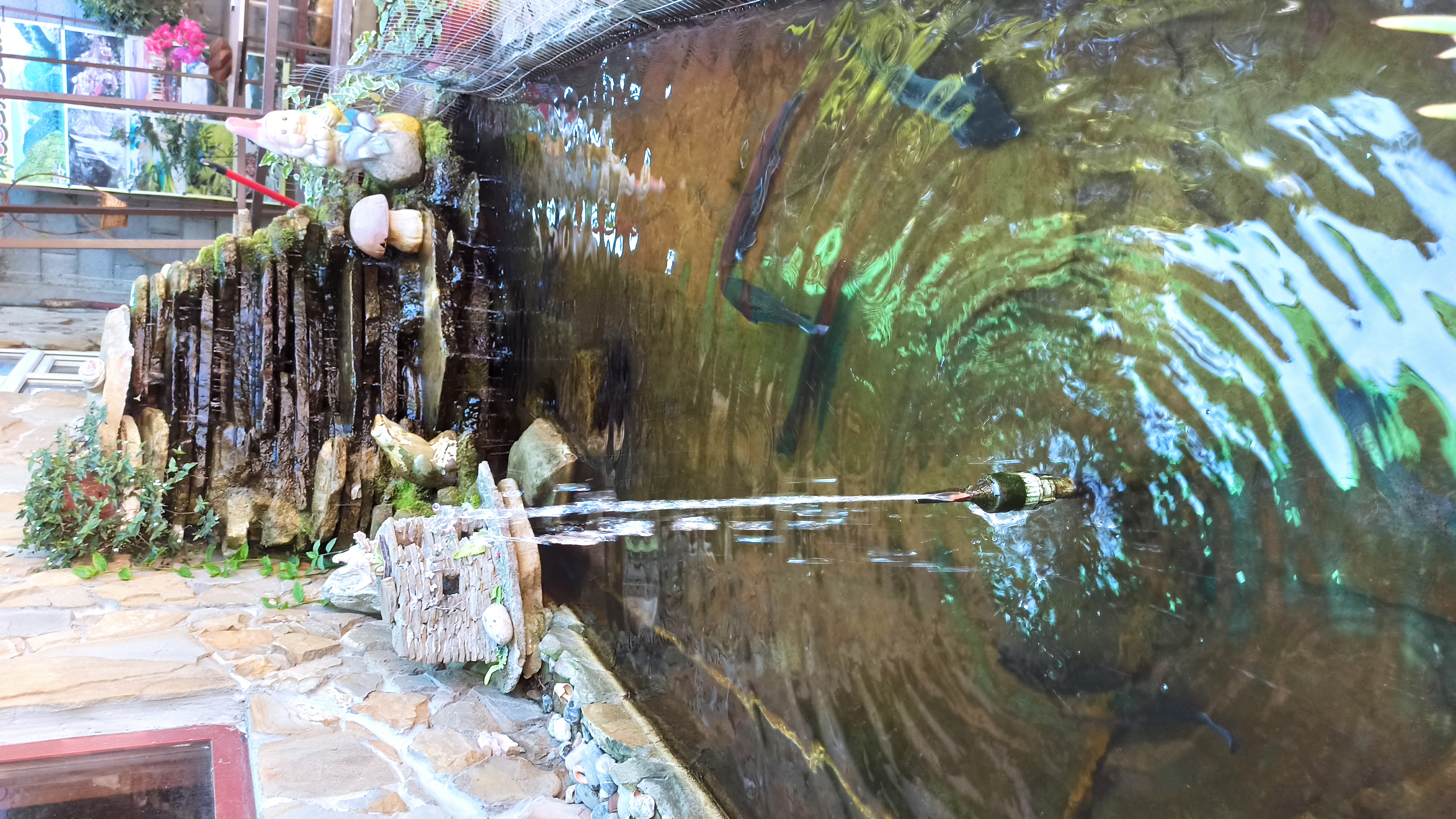 Фото Mechta House