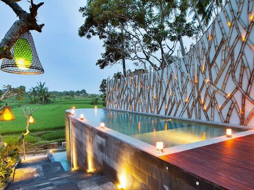 Гостиница Ubud Padi Villas