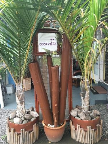Фото Coco Villa