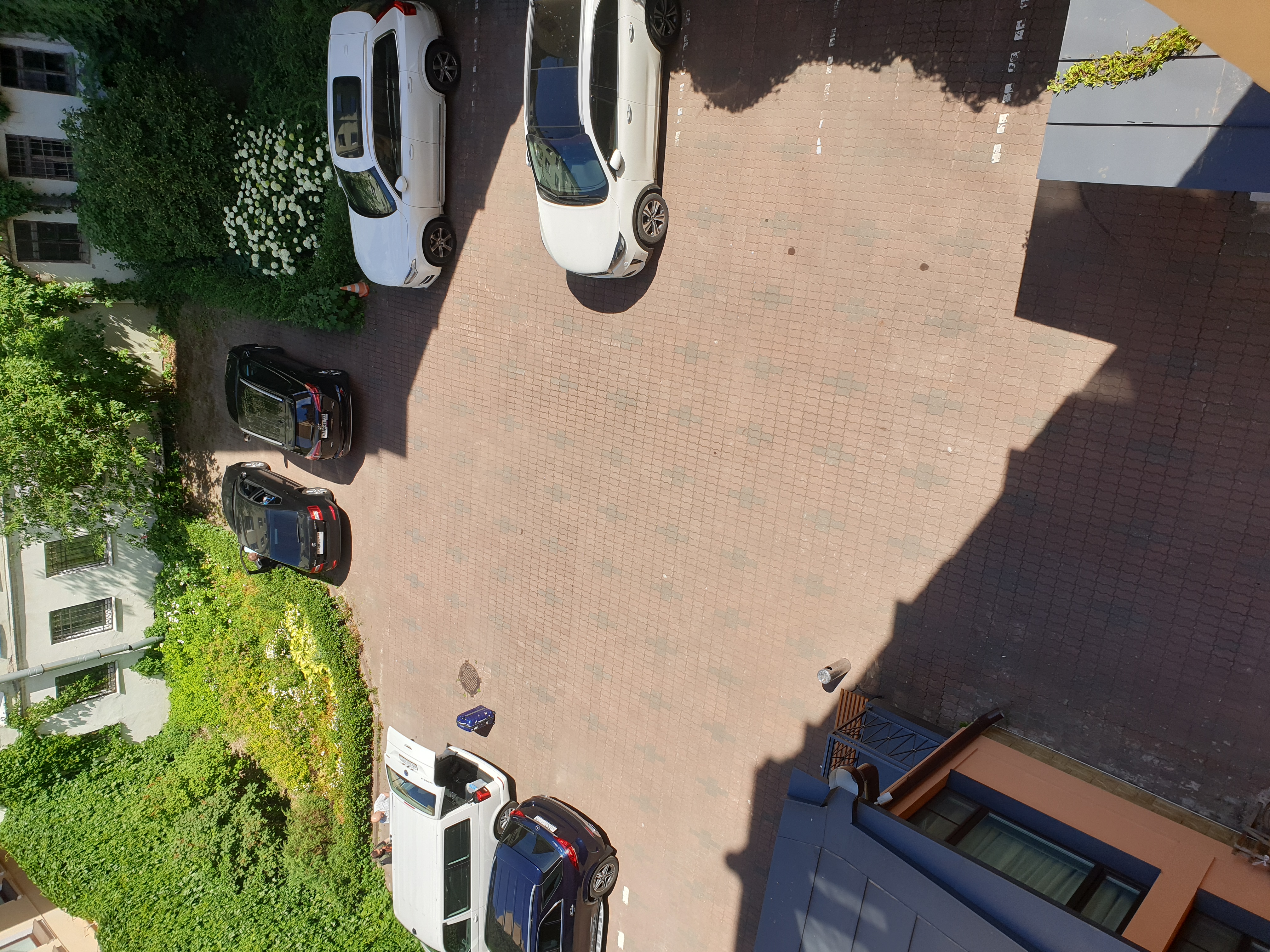 Фото Маргарита