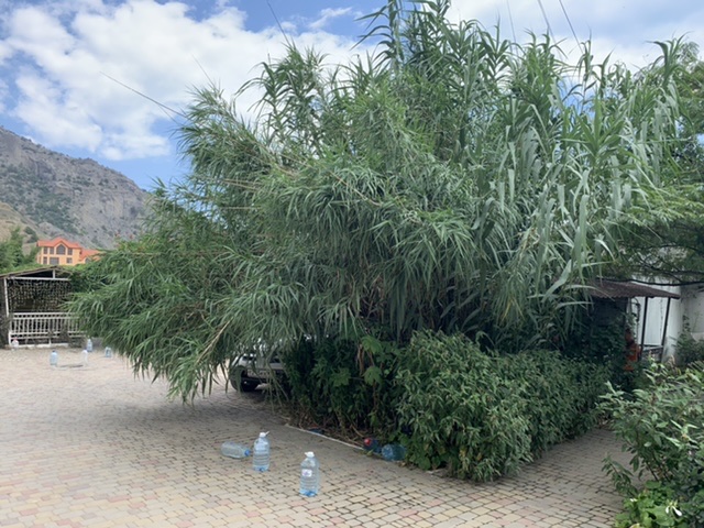 Фото Аквамарин