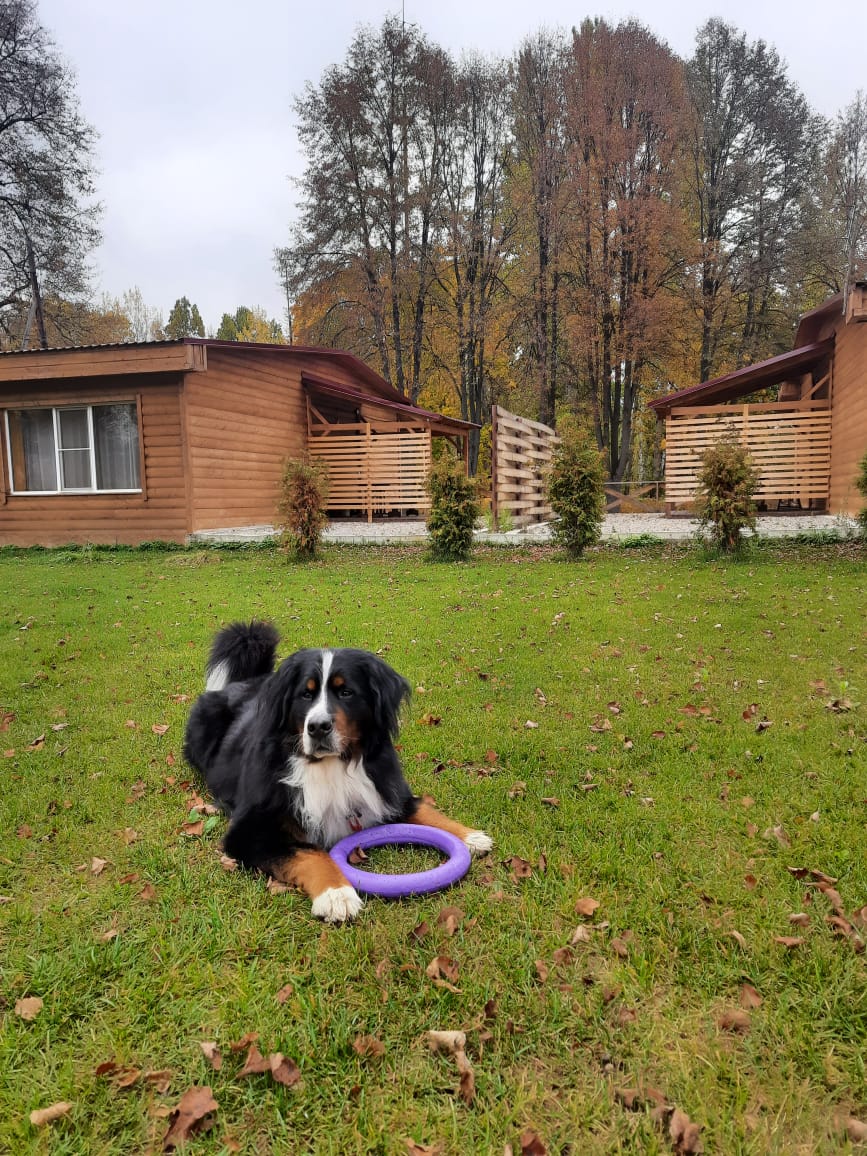 Фото Приокские зори