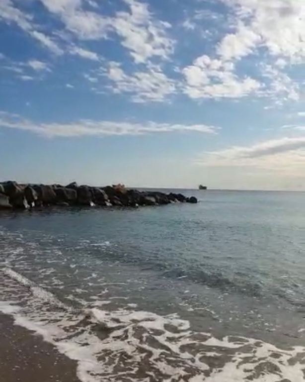 Фото Тихий берег