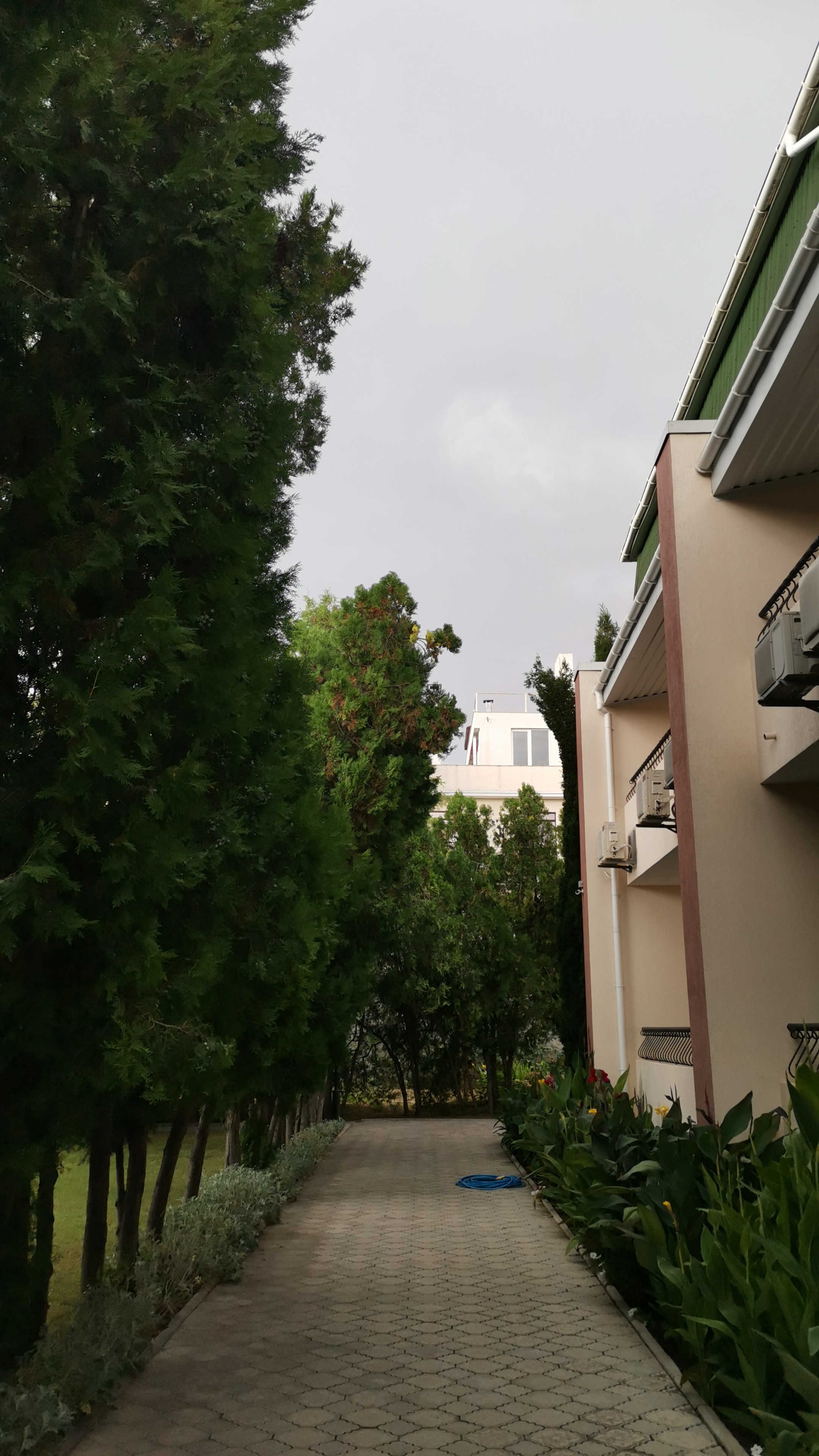 Фото Астра центр