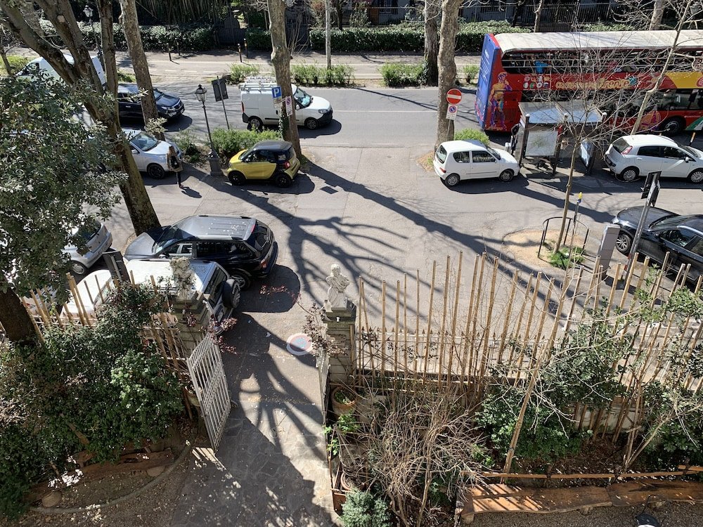 Фото Hotel David