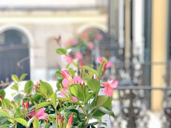 Фото Bue Nero Suites Verona