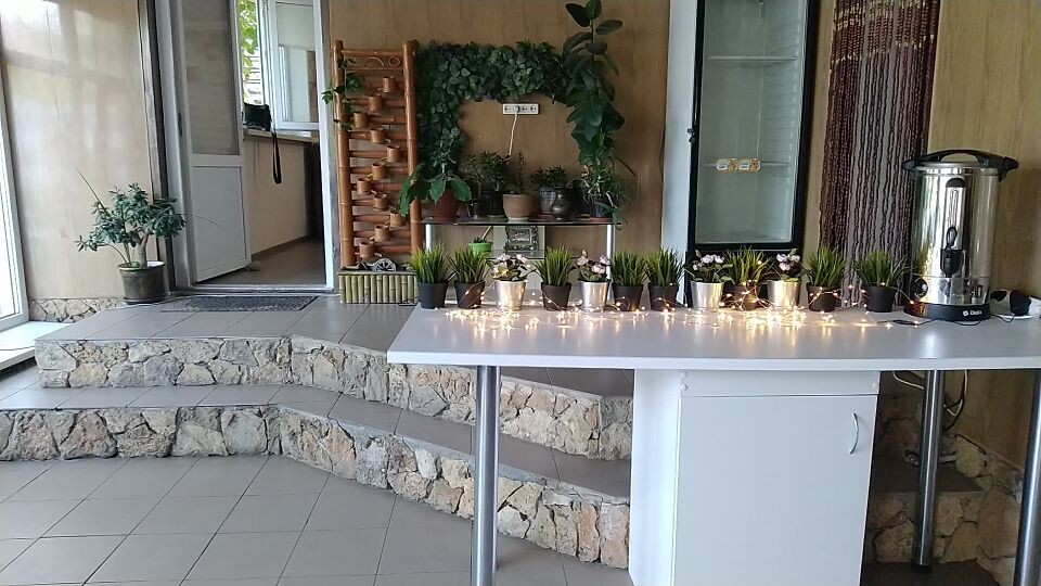 Фото Ивушка