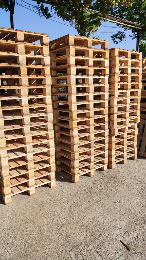 Wholesale company Group St Partners, Tashkent, photo