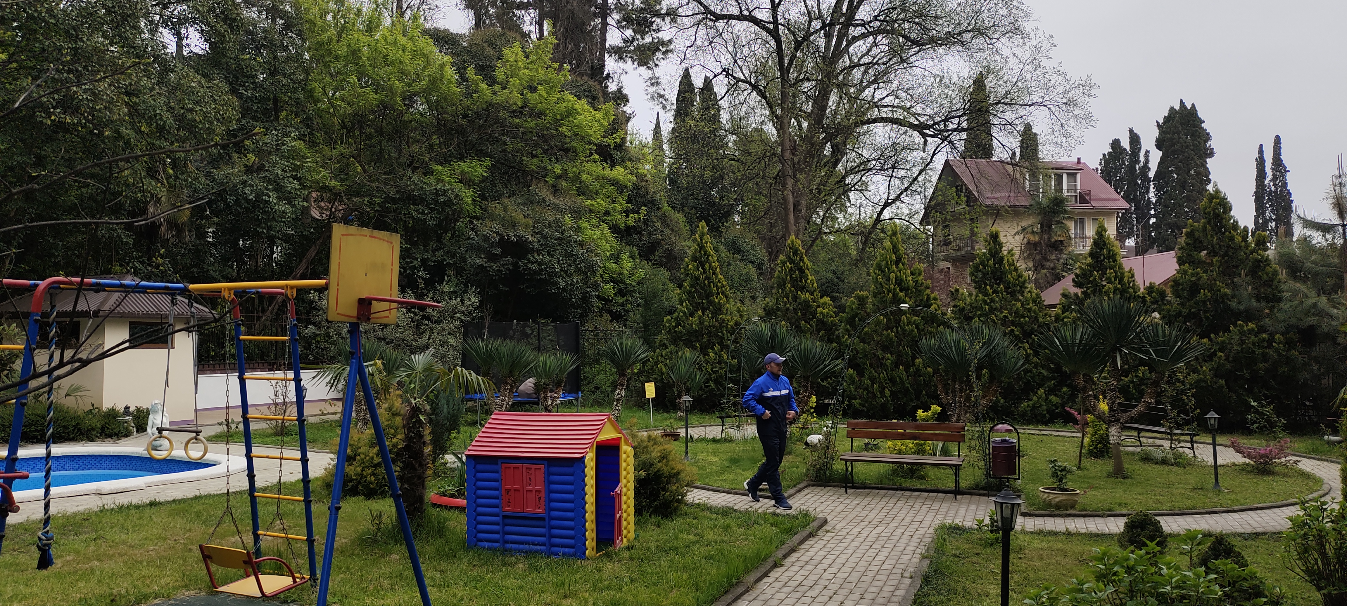 Фото Старая Хоста