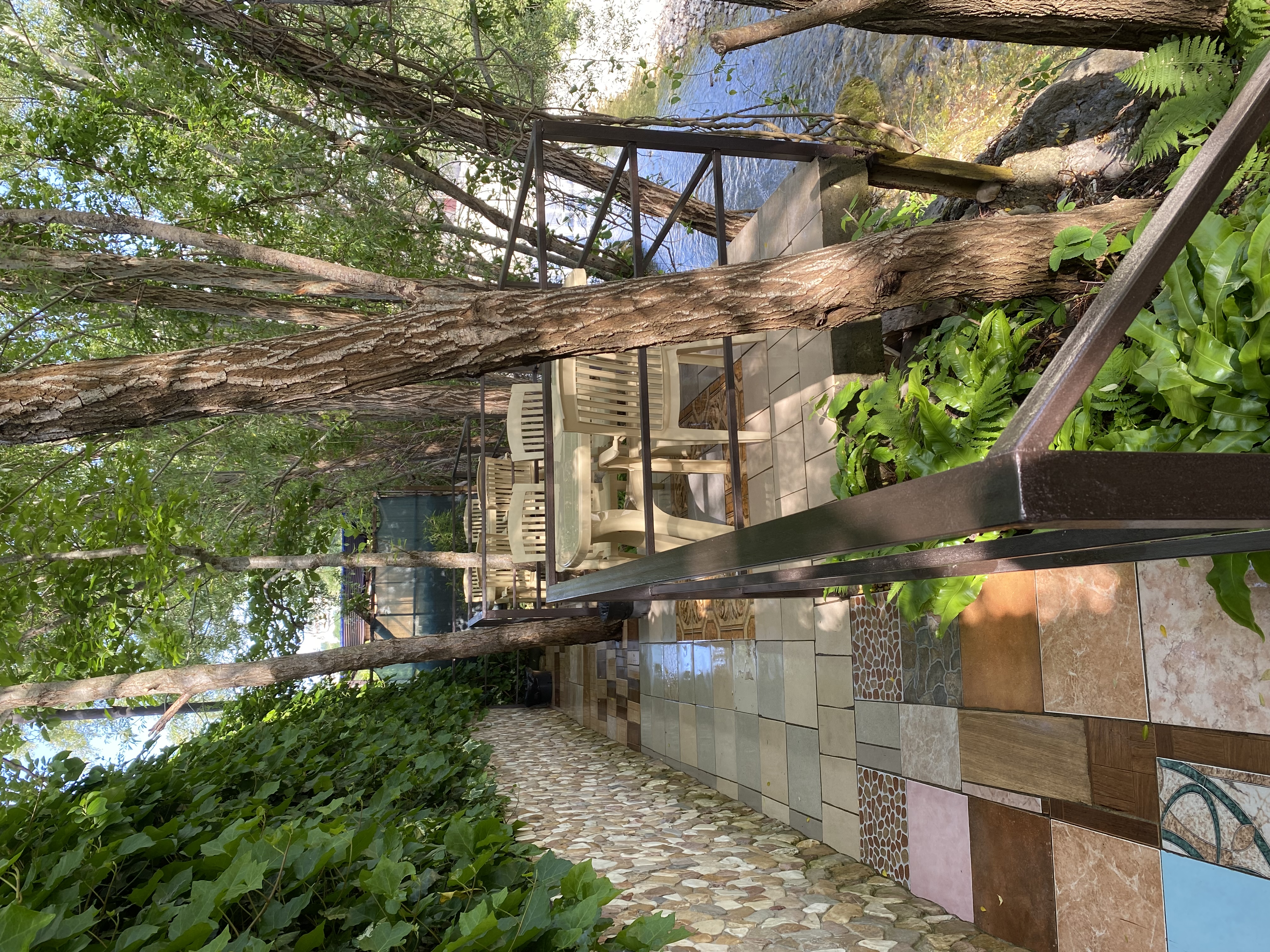 Фото Вероника