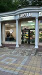 Цветы (Kurortniy Avenue, 107), flower shop