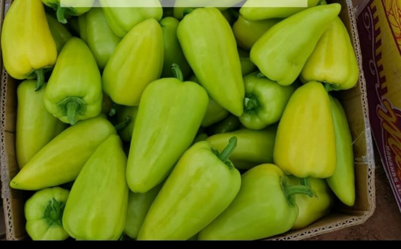 Vegetables and fruit wholesale Kompaniya Ruch'i, Pskov, photo