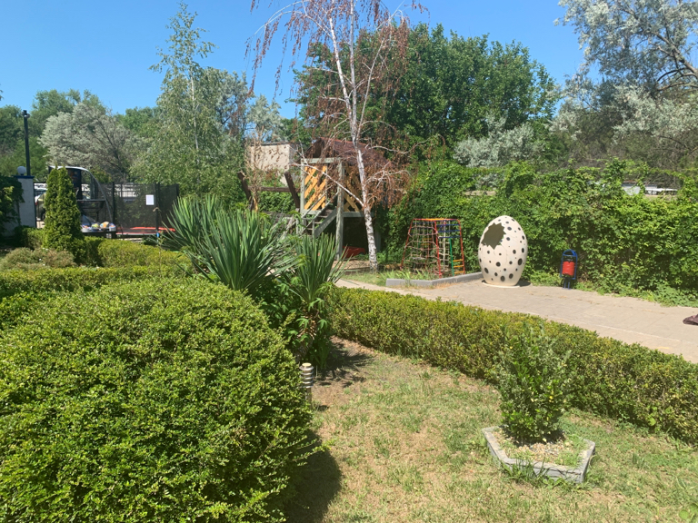 Фото Солнечный