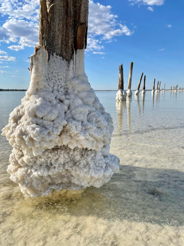 Onalar va xotinlar porno onlayn