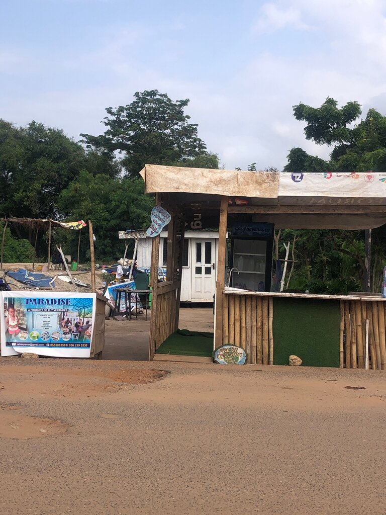 Soft drinks bar Paradise Coconut, Earth, photo