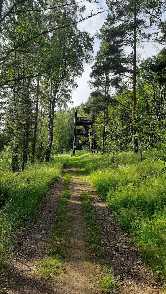 Observation deck Орнитологическая вышка, Saint‑Petersburg and Leningrad Oblast, photo