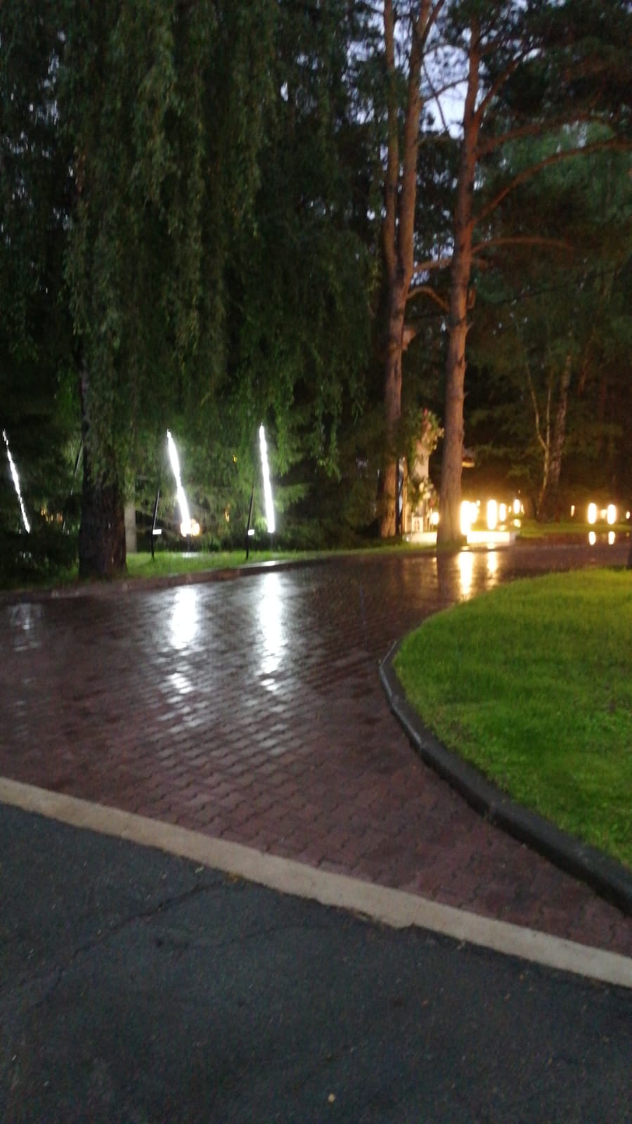 Фото Сосновый бор