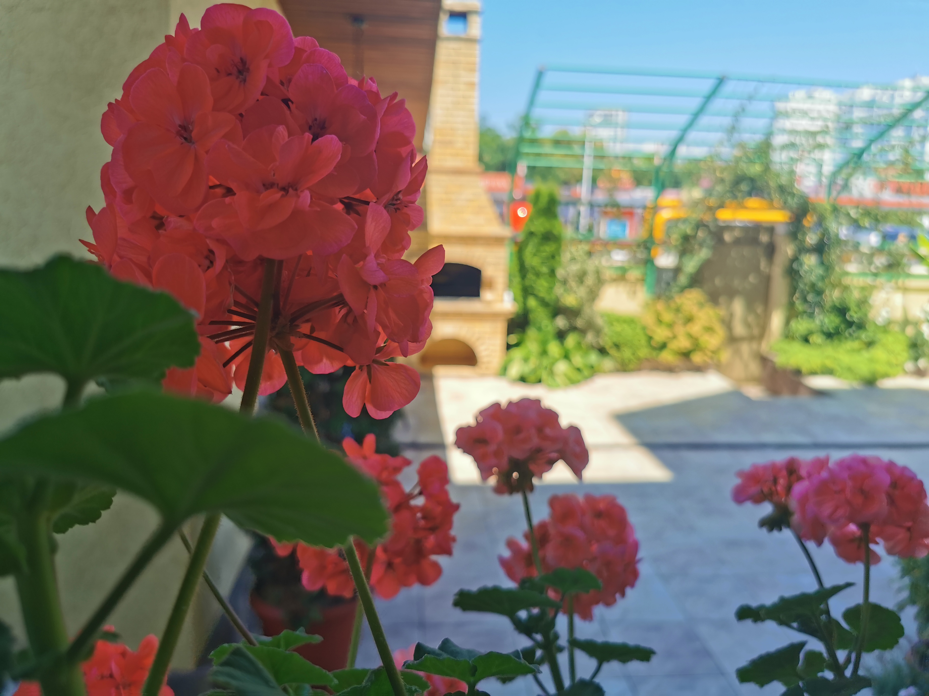 Фото Orange House