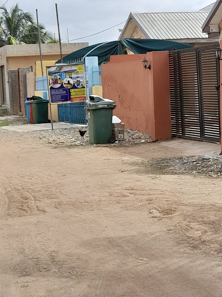 School Stepping Ahead Montessori school, Earth, photo