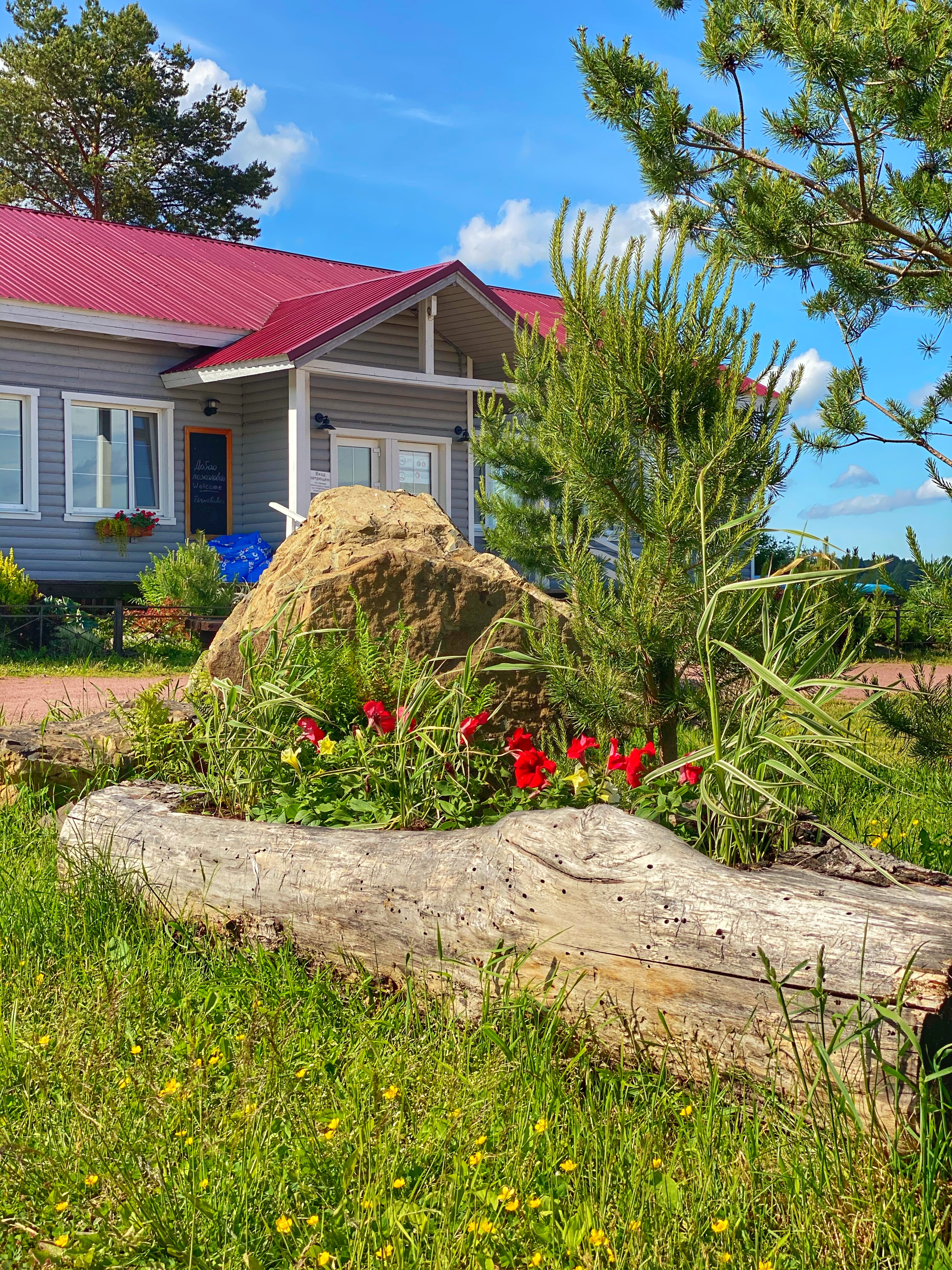 Фото Ялгора