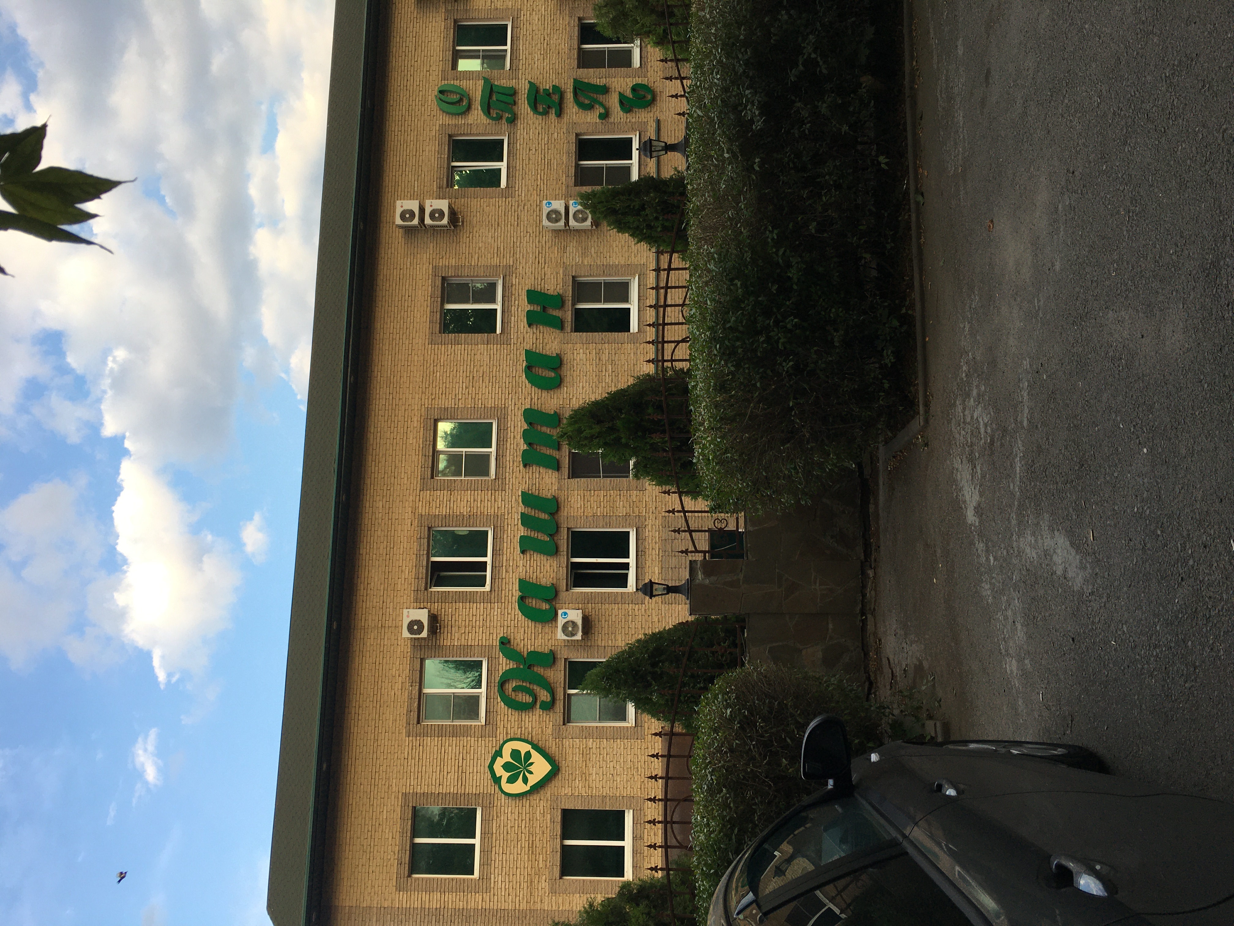 Фото Каштан