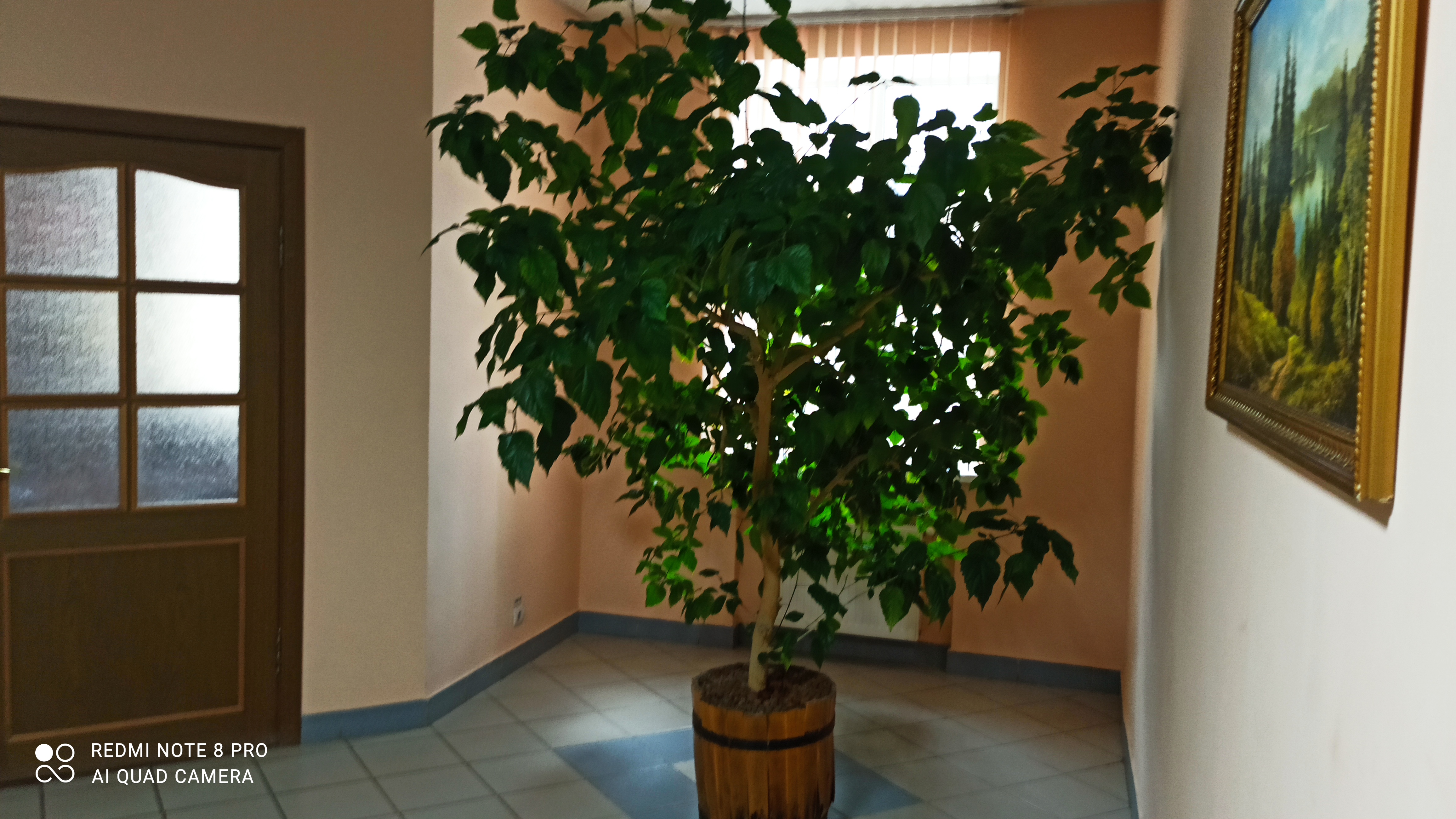 Фото Родина