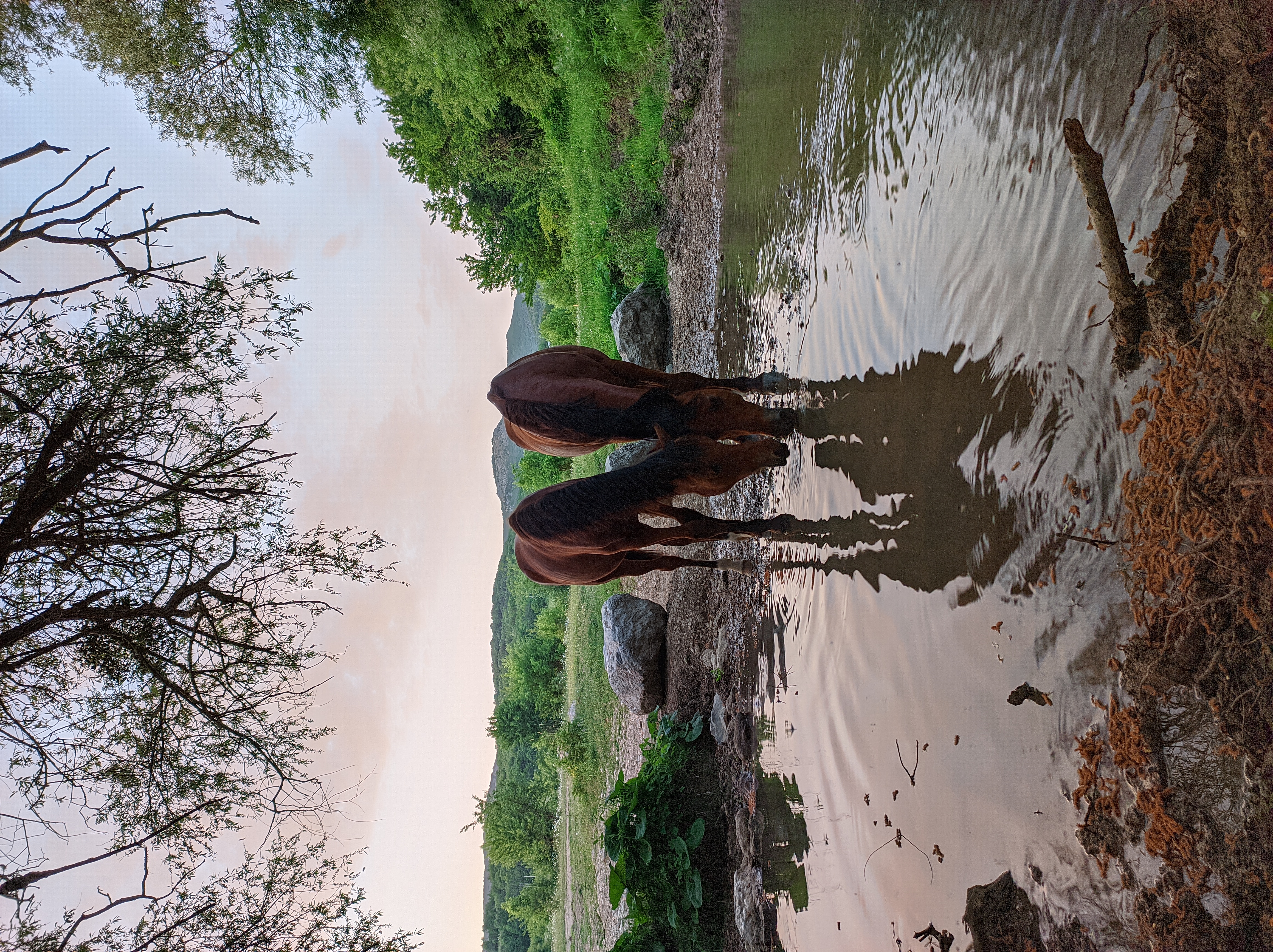 Фото Уркуста-парк