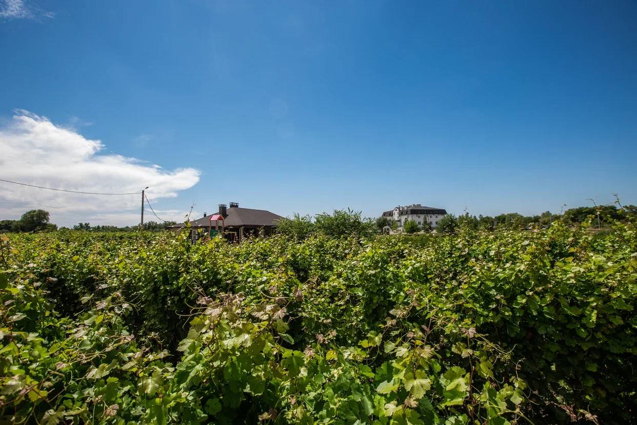 Фото Вилла София