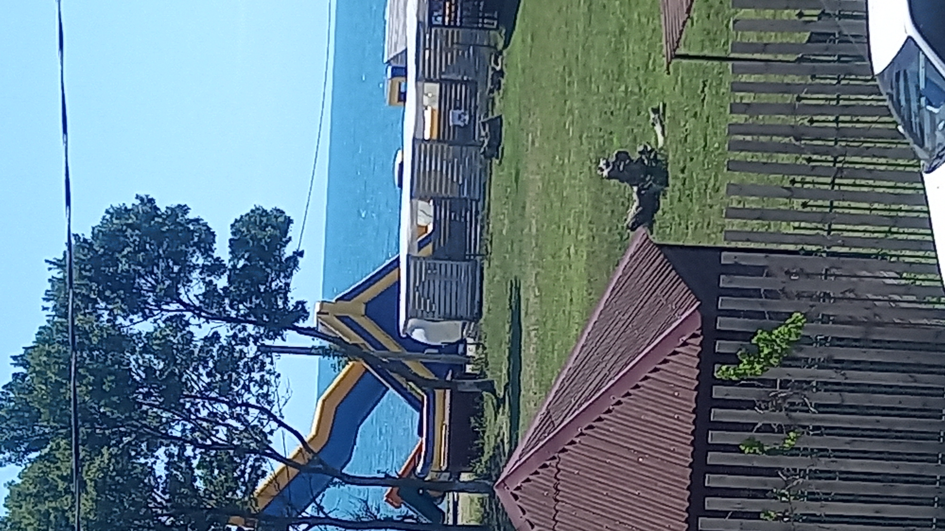 Фото Светлана