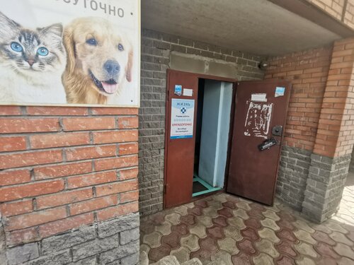 Ветеринарная клиника Жизнь, Омск, фото