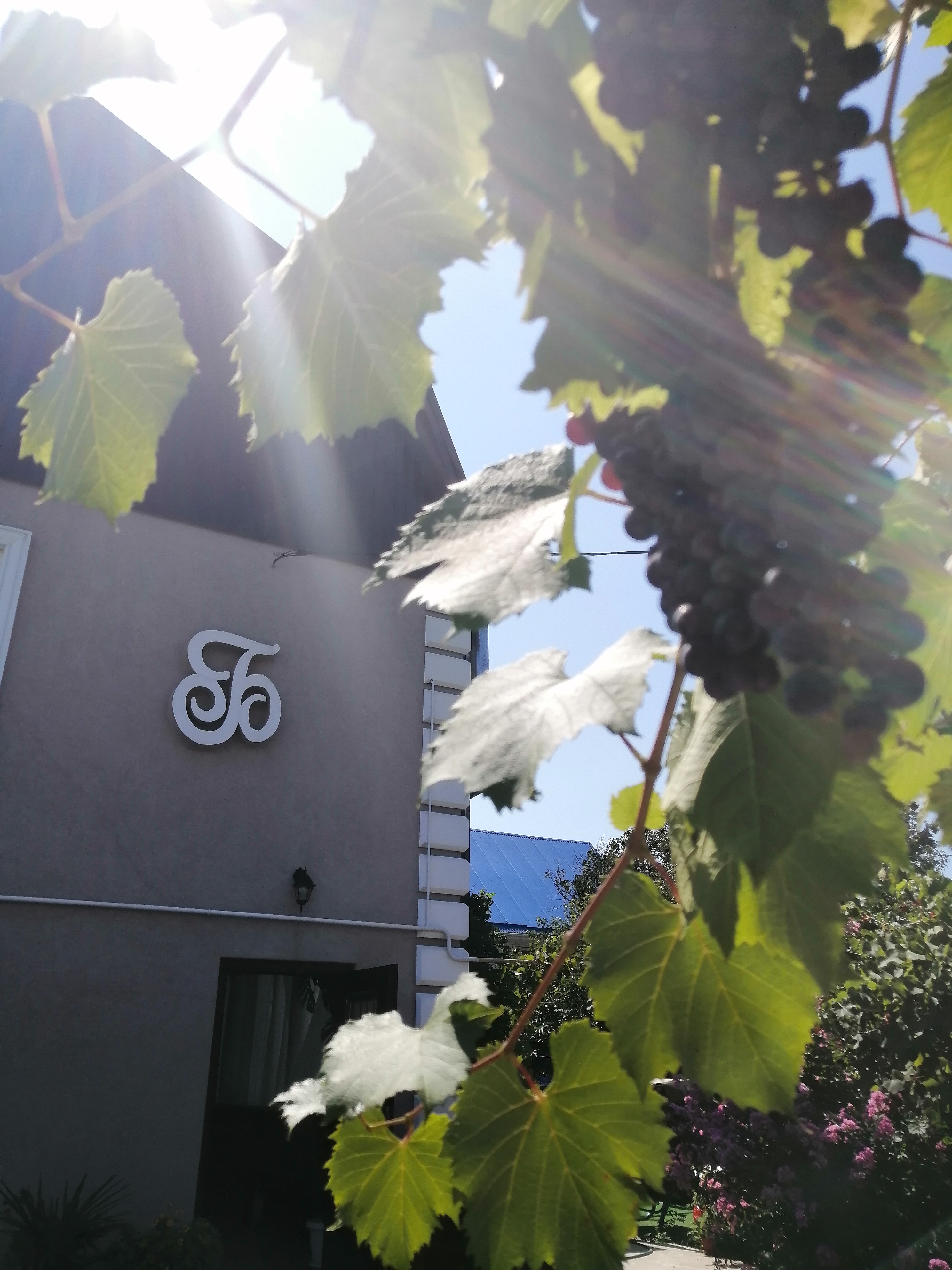 Фото Дом Бублик