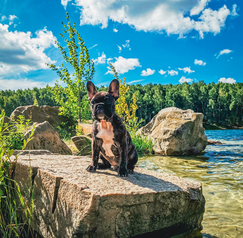 purenudismhost остров @ " Яндекс