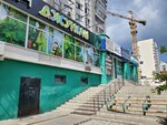 Jungle (Krasnoarmeysky Avenue, 61) ، متجر للحيوانات الأليفة
